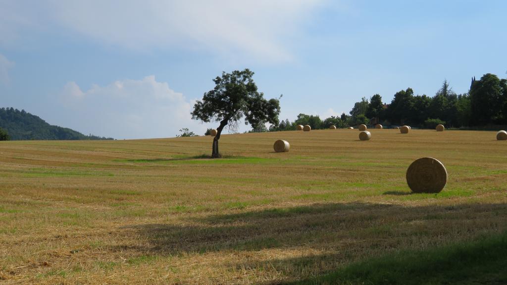 Monteveglio Locanda Gli Ulivi מראה חיצוני תמונה